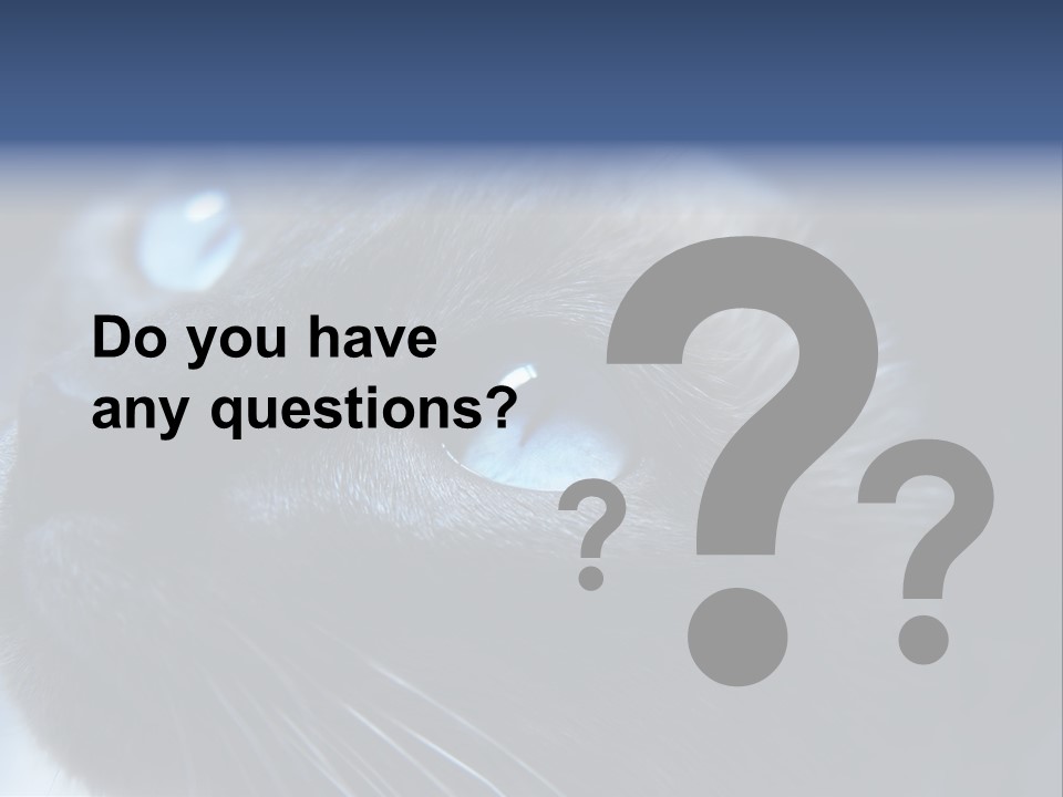 Staring Beautiful Pet PowerPoint Template