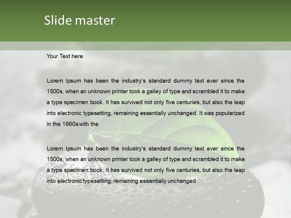 Care Clean Style PowerPoint Template