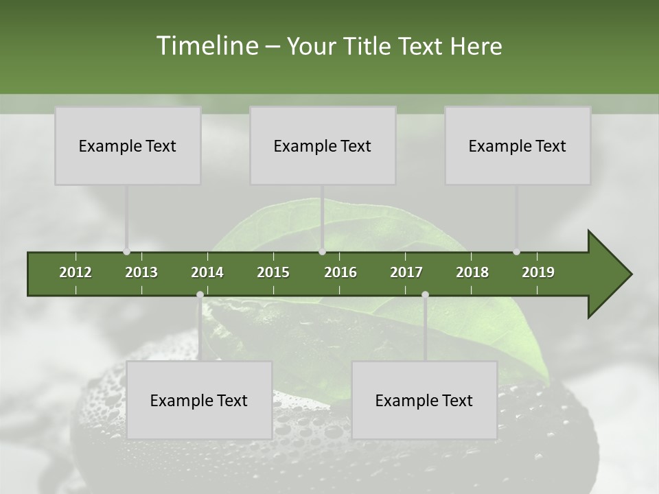 Care Clean Style PowerPoint Template