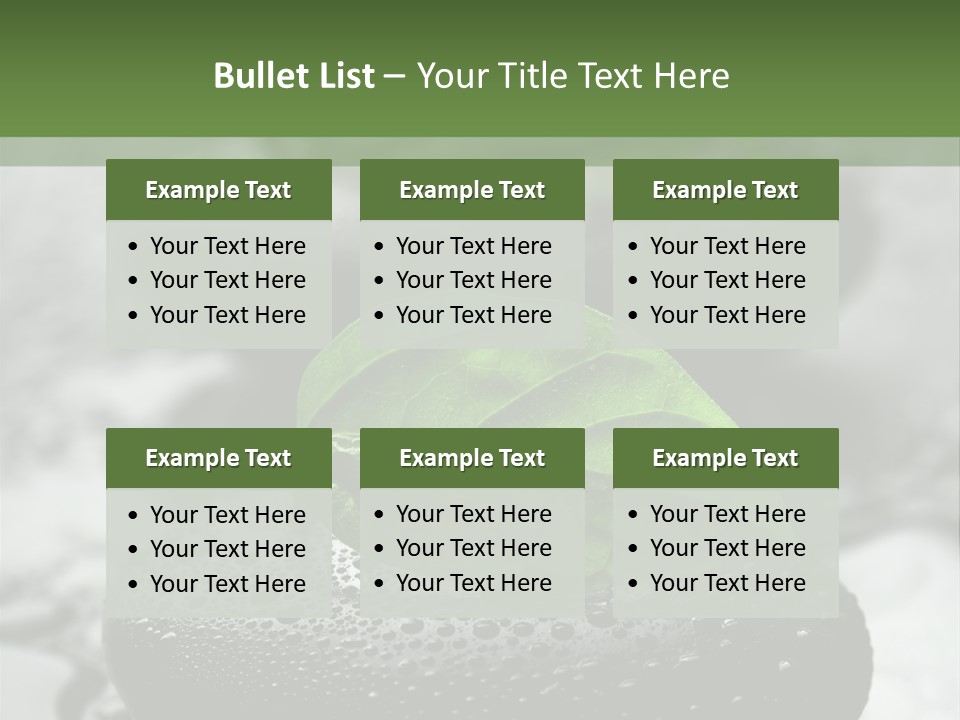 Care Clean Style PowerPoint Template