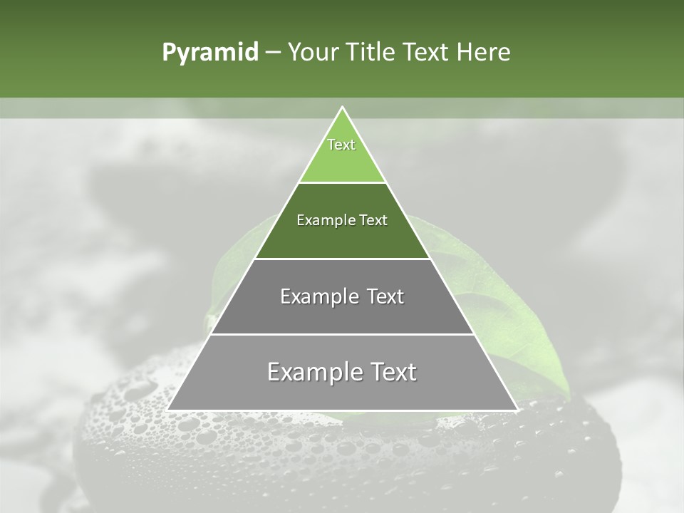 Care Clean Style PowerPoint Template