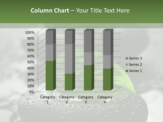 Care Clean Style PowerPoint Template