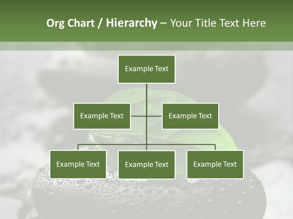 Care Clean Style PowerPoint Template