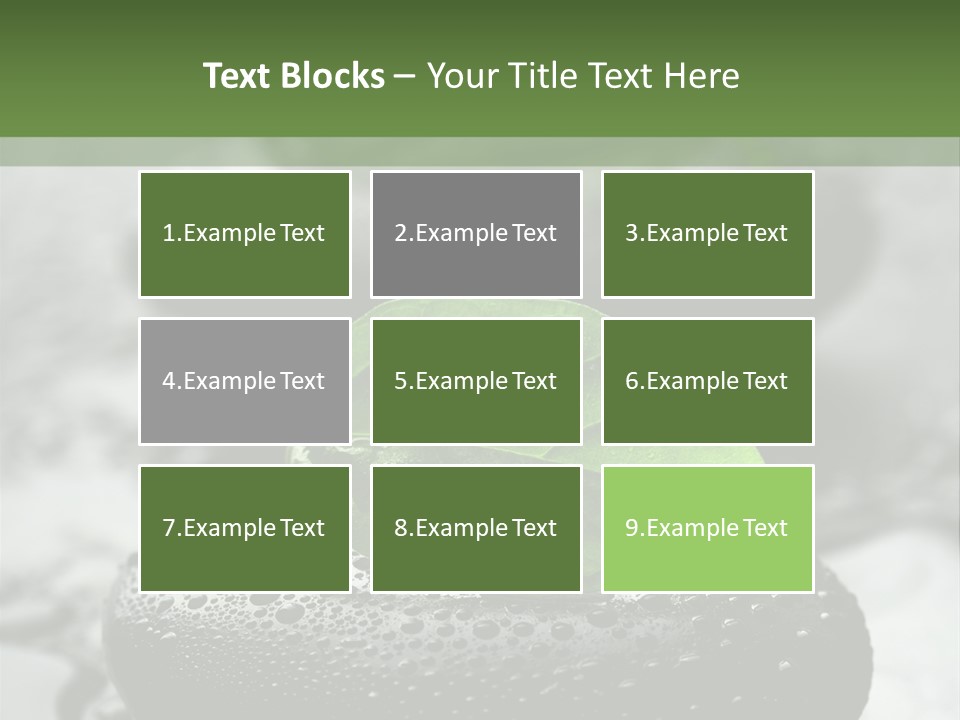 Care Clean Style PowerPoint Template