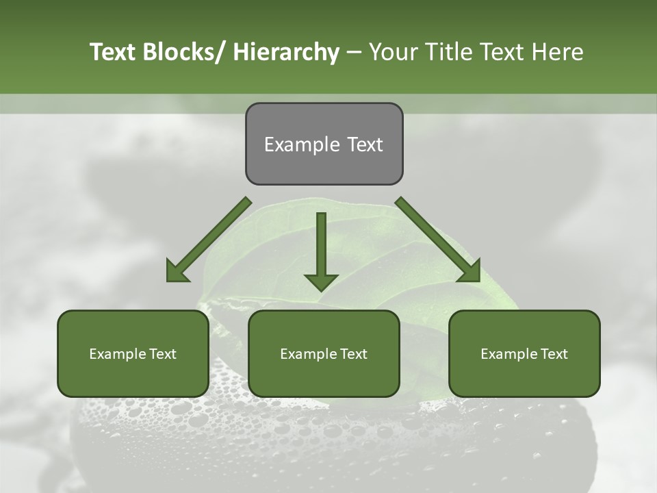 Care Clean Style PowerPoint Template