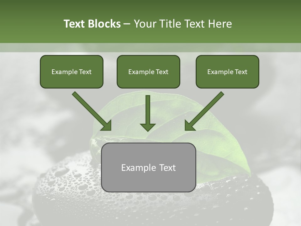 Care Clean Style PowerPoint Template