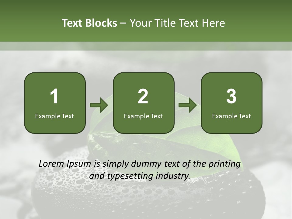 Care Clean Style PowerPoint Template