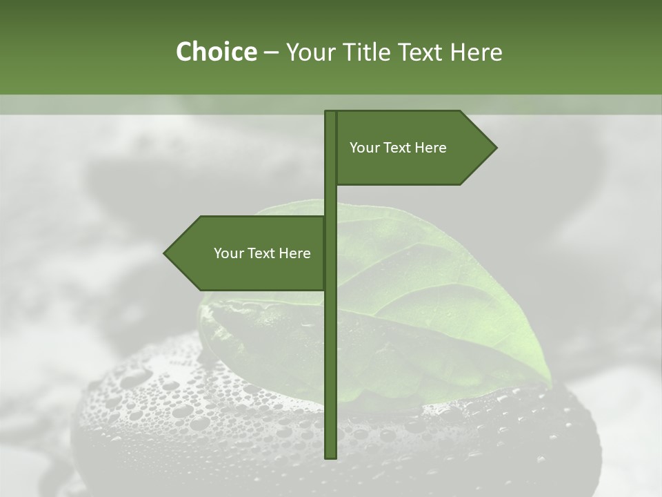 Care Clean Style PowerPoint Template