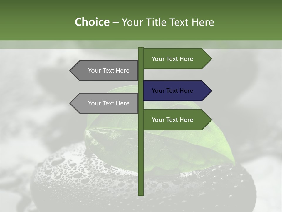 Care Clean Style PowerPoint Template