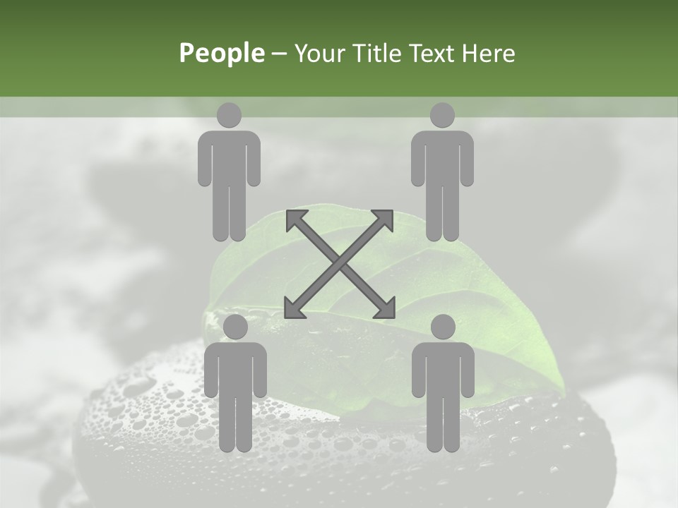 Care Clean Style PowerPoint Template