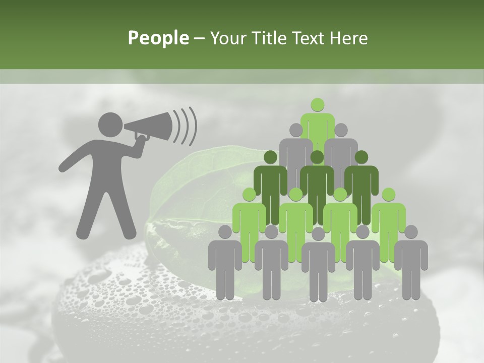 Care Clean Style PowerPoint Template