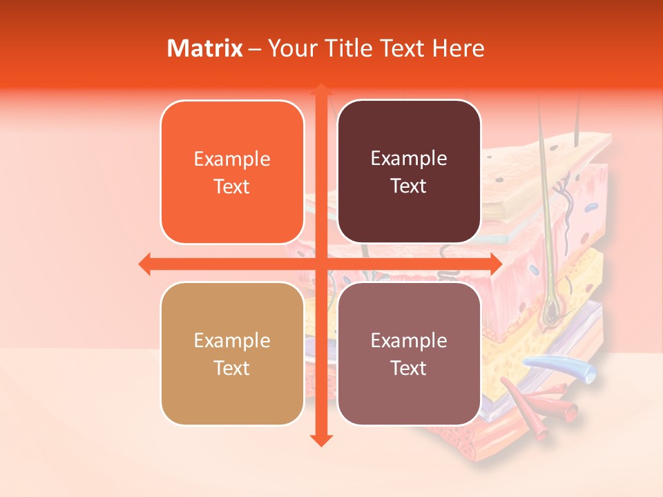 Mu Cle Haft Medical PowerPoint Template