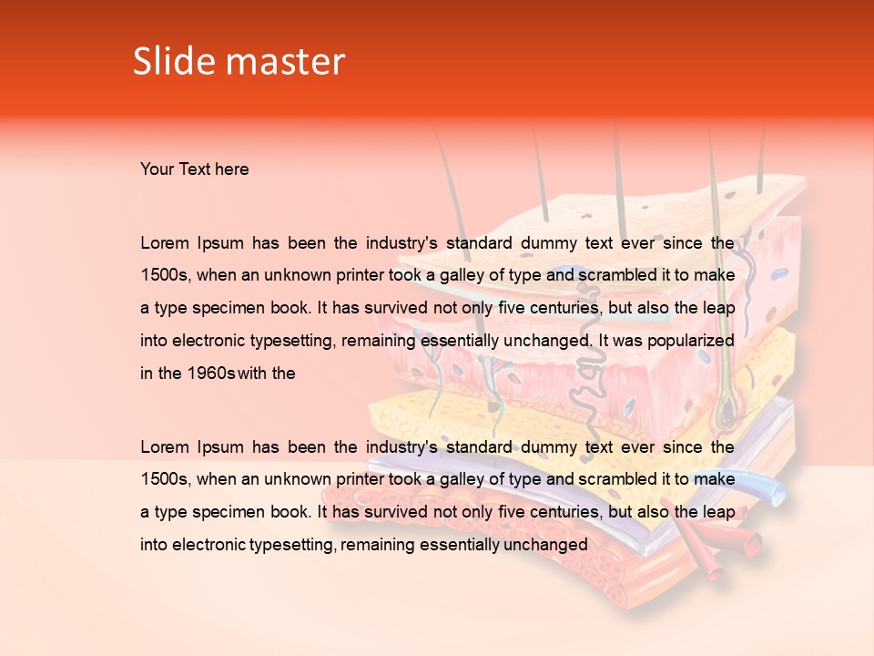 Mu Cle Haft Medical PowerPoint Template