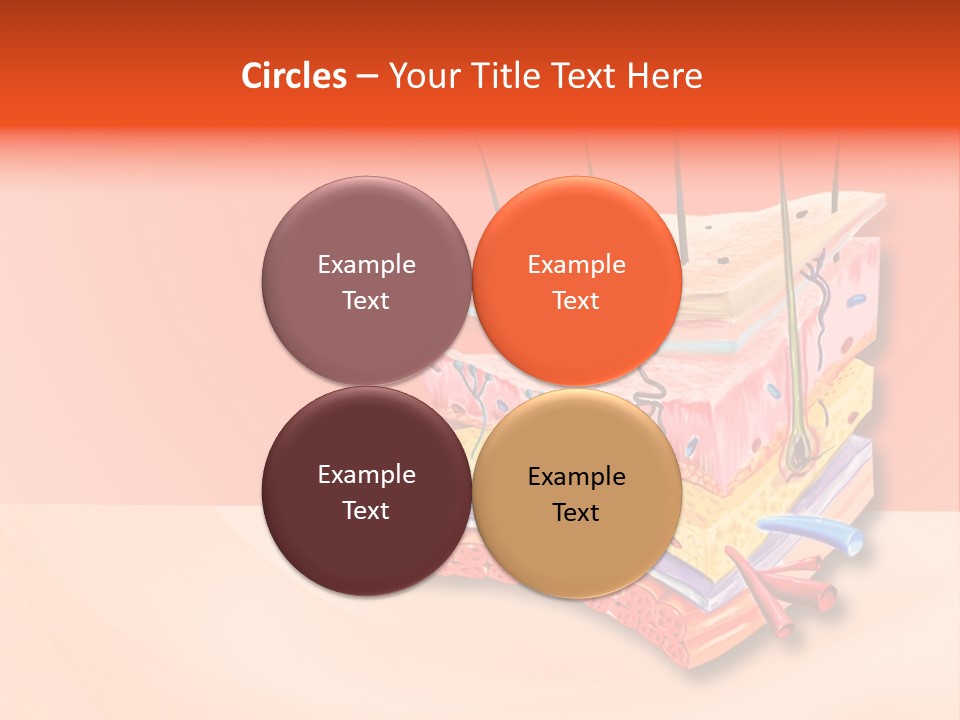 Mu Cle Haft Medical PowerPoint Template