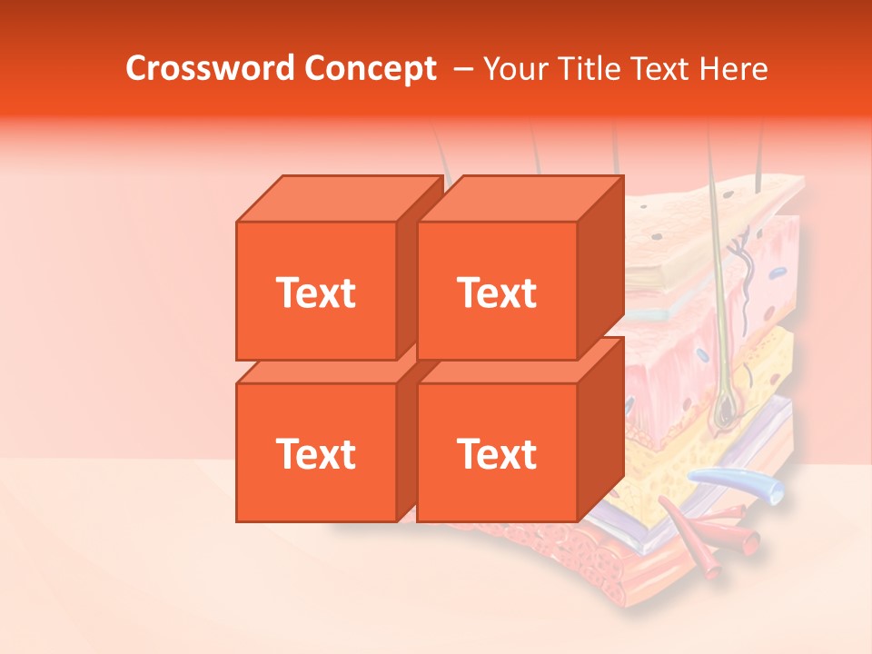 Mu Cle Haft Medical PowerPoint Template