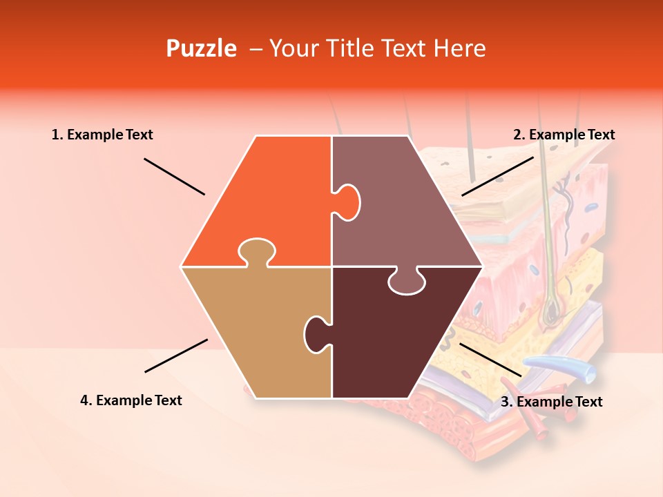 Mu Cle Haft Medical PowerPoint Template