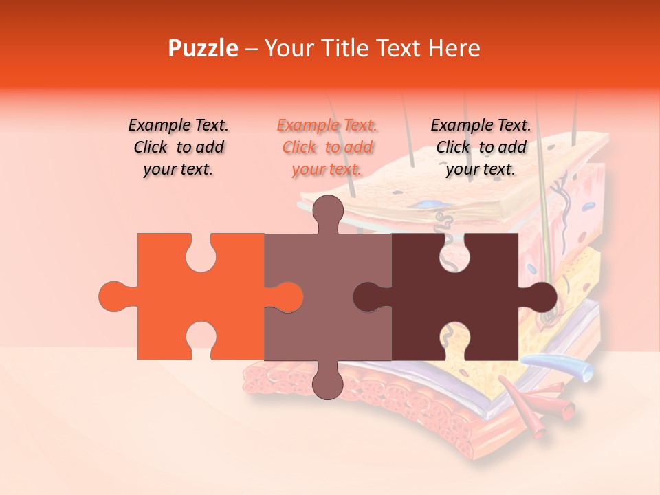 Mu Cle Haft Medical PowerPoint Template