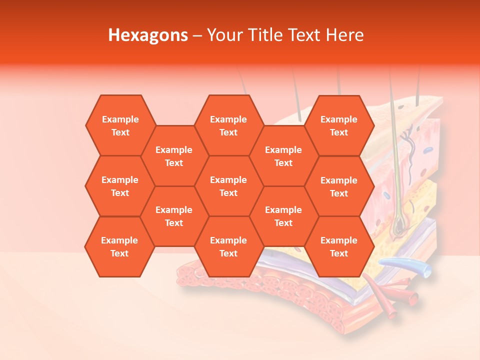 Mu Cle Haft Medical PowerPoint Template