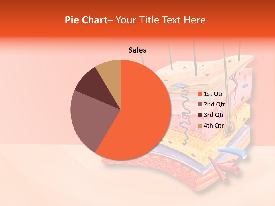 Mu Cle Haft Medical PowerPoint Template