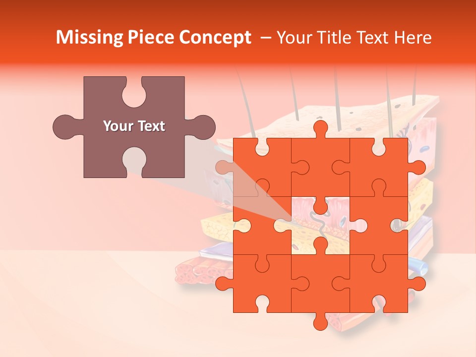 Mu Cle Haft Medical PowerPoint Template