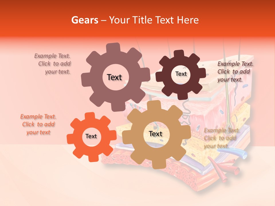 Mu Cle Haft Medical PowerPoint Template