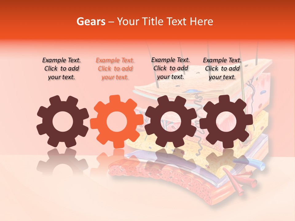 Mu Cle Haft Medical PowerPoint Template