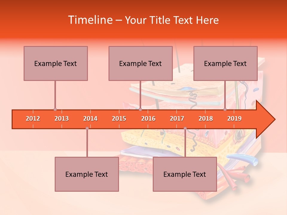 Mu Cle Haft Medical PowerPoint Template