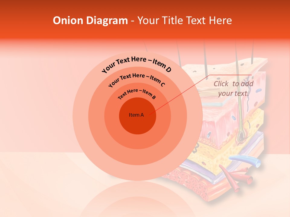 Mu Cle Haft Medical PowerPoint Template