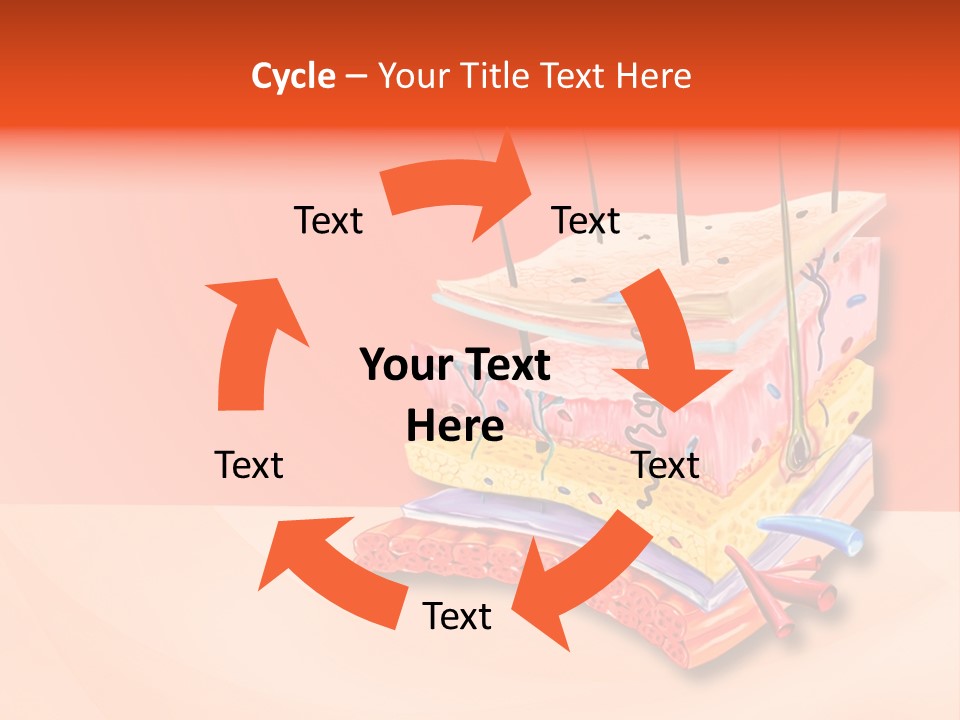 Mu Cle Haft Medical PowerPoint Template