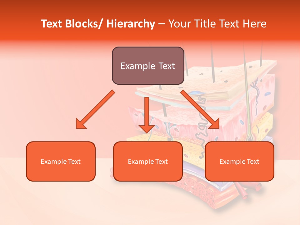 Mu Cle Haft Medical PowerPoint Template