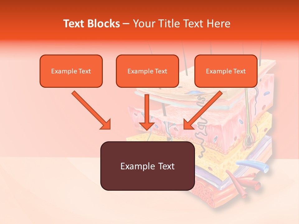 Mu Cle Haft Medical PowerPoint Template
