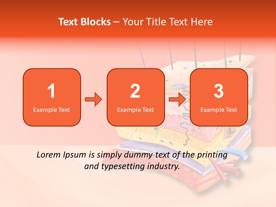 Mu Cle Haft Medical PowerPoint Template