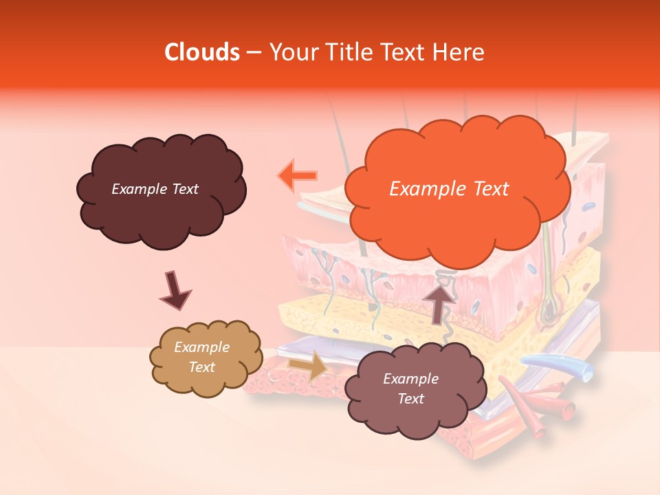 Mu Cle Haft Medical PowerPoint Template