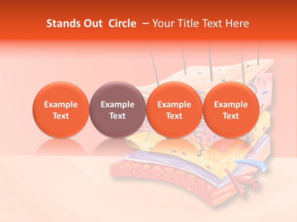 Mu Cle Haft Medical PowerPoint Template