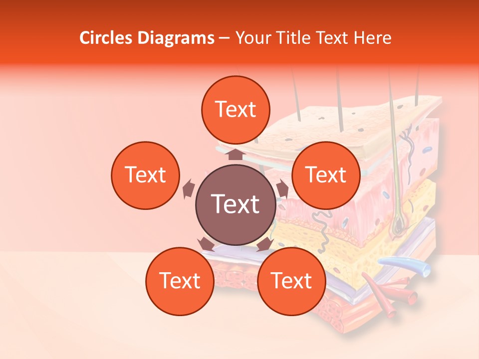 Mu Cle Haft Medical PowerPoint Template