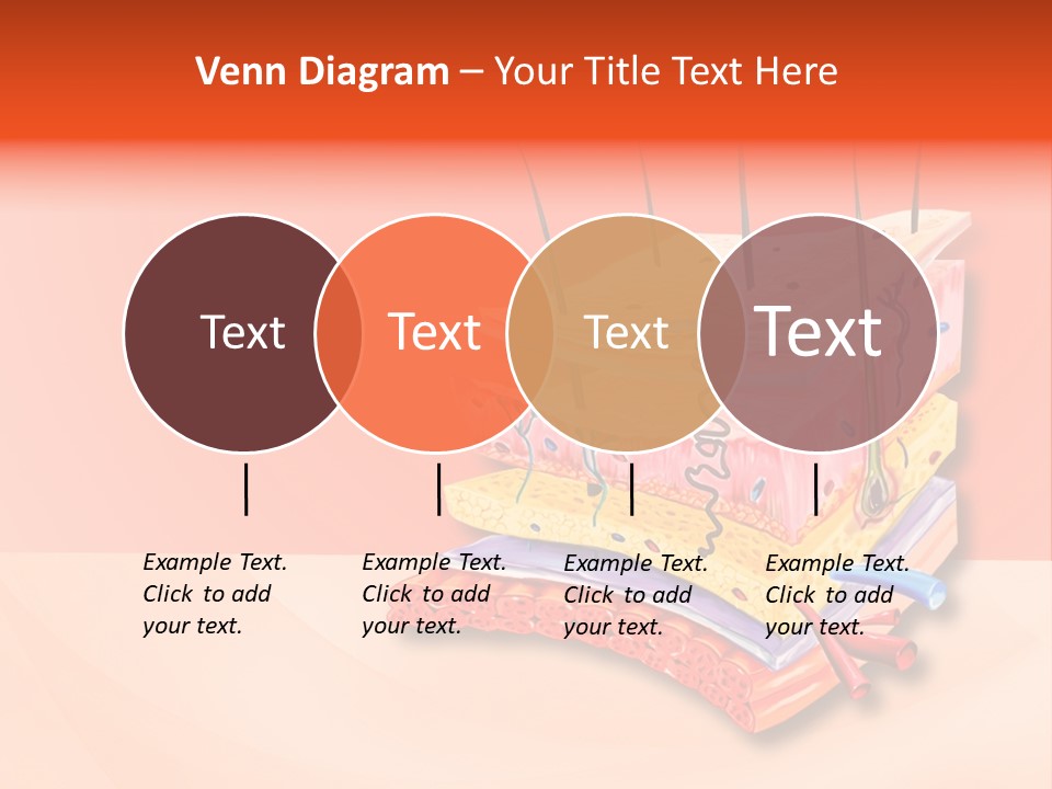 Mu Cle Haft Medical PowerPoint Template