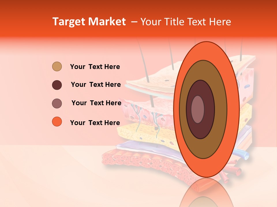 Mu Cle Haft Medical PowerPoint Template