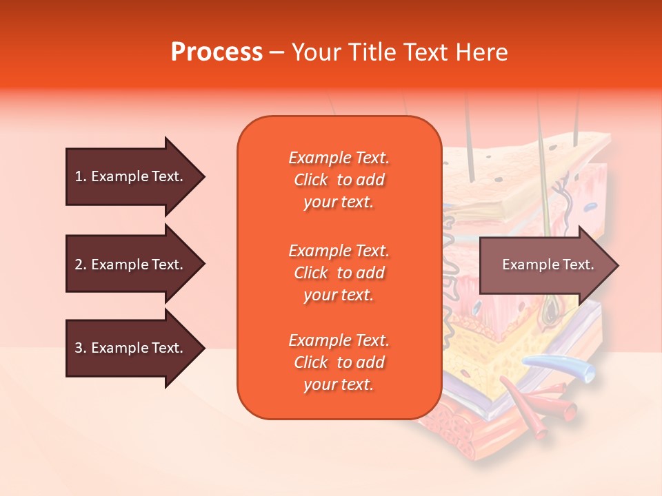 Mu Cle Haft Medical PowerPoint Template