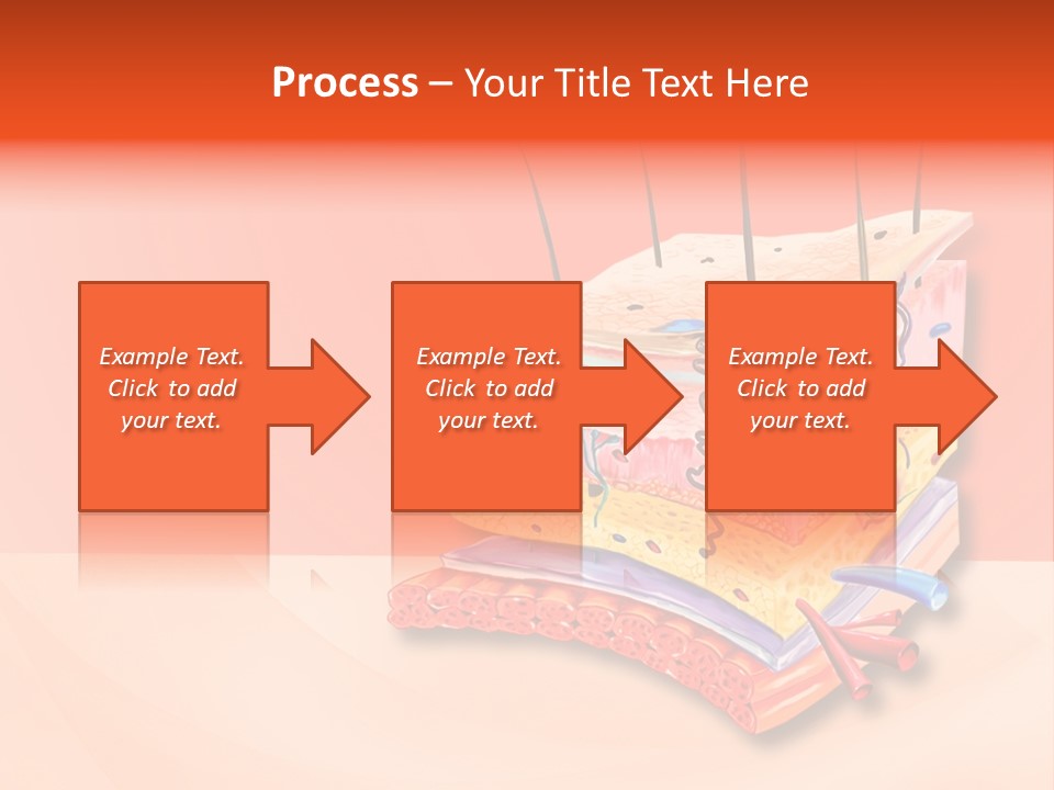 Mu Cle Haft Medical PowerPoint Template