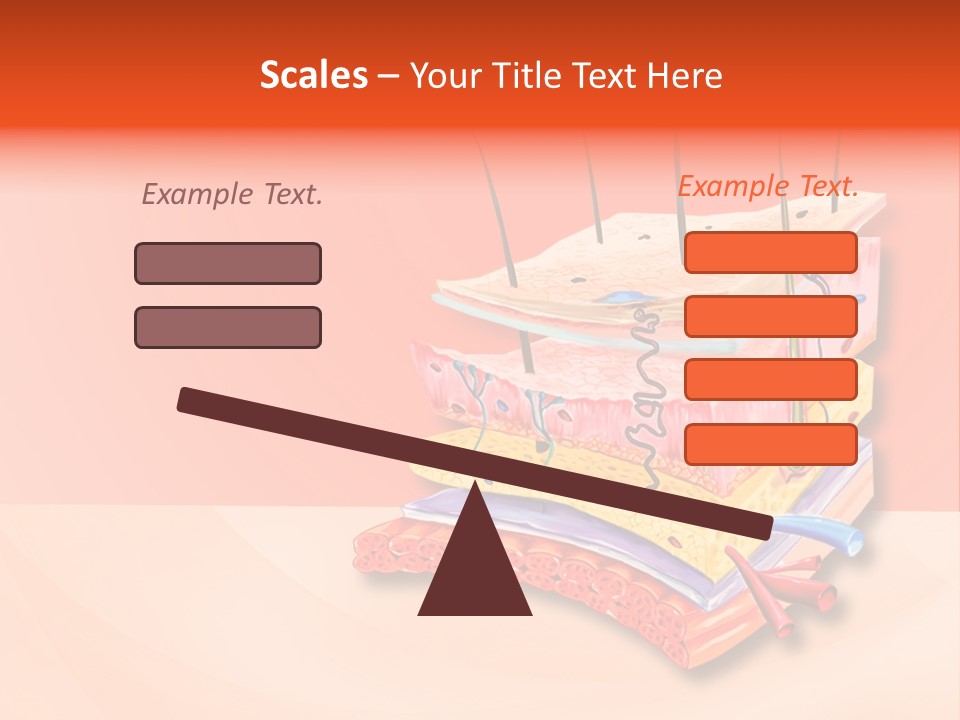 Mu Cle Haft Medical PowerPoint Template