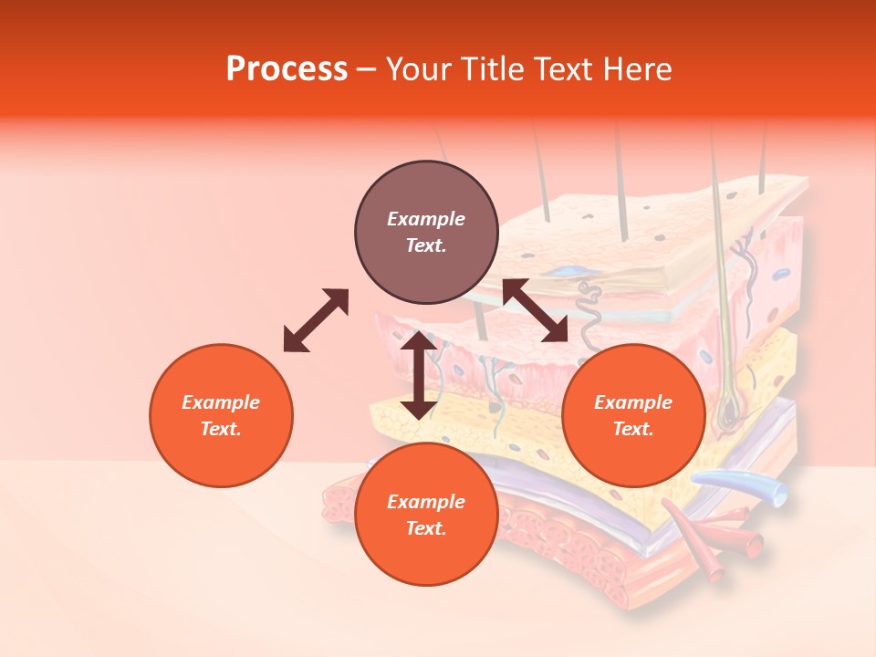 Mu Cle Haft Medical PowerPoint Template