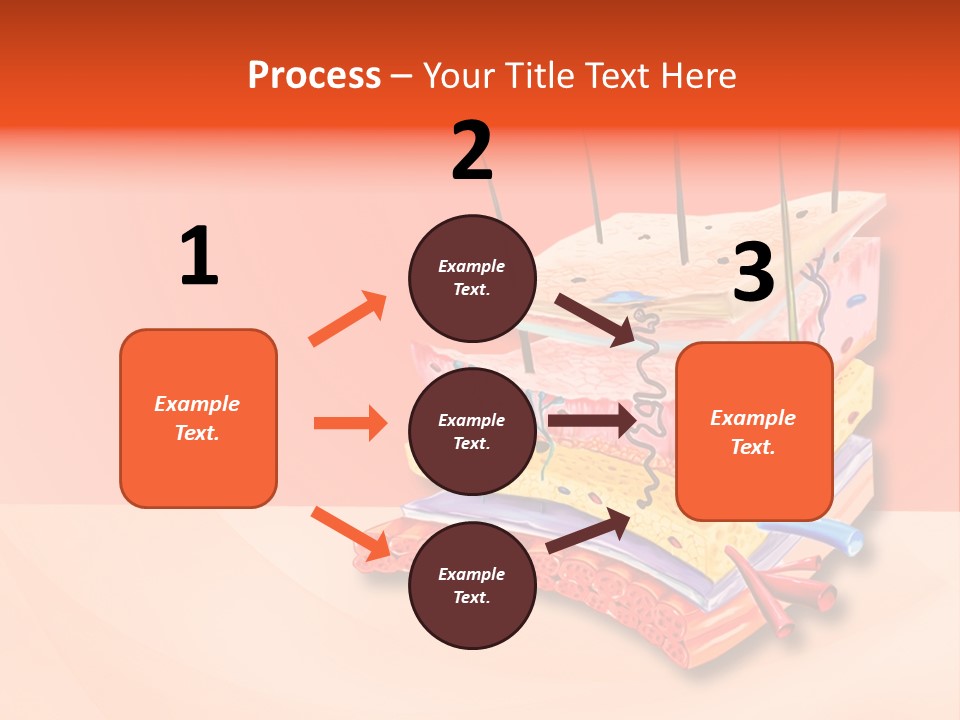 Mu Cle Haft Medical PowerPoint Template