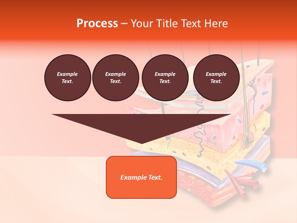 Mu Cle Haft Medical PowerPoint Template