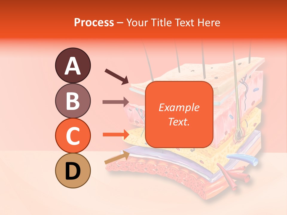 Mu Cle Haft Medical PowerPoint Template