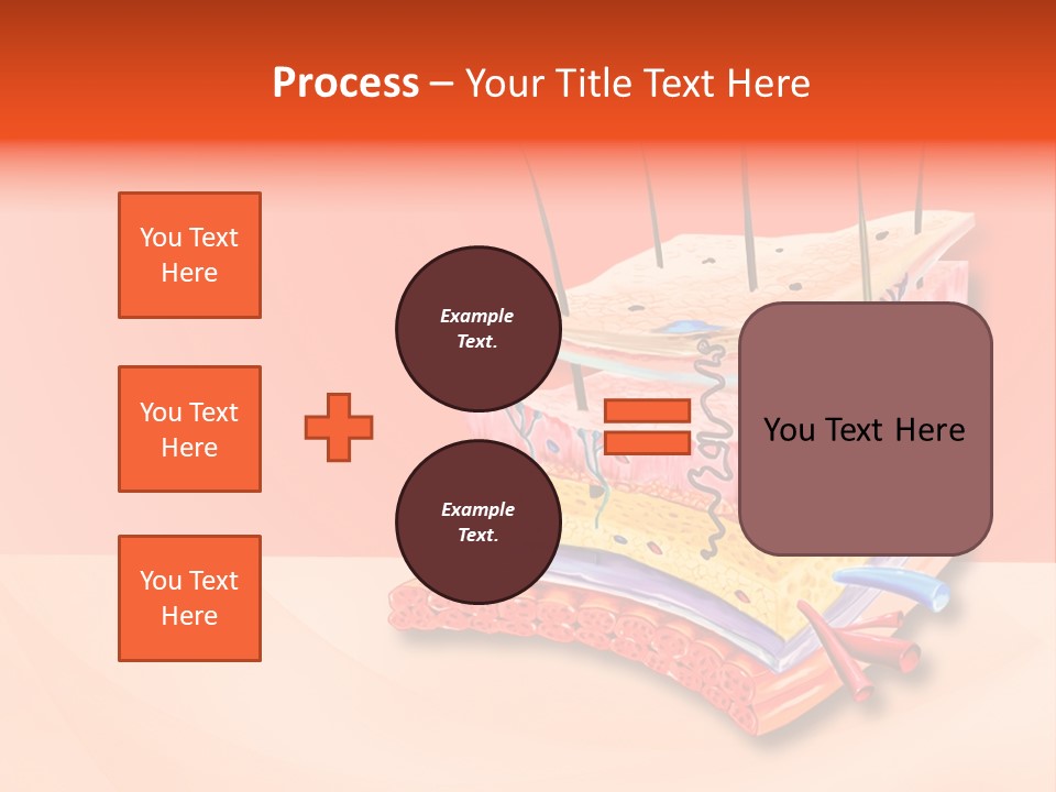 Mu Cle Haft Medical PowerPoint Template