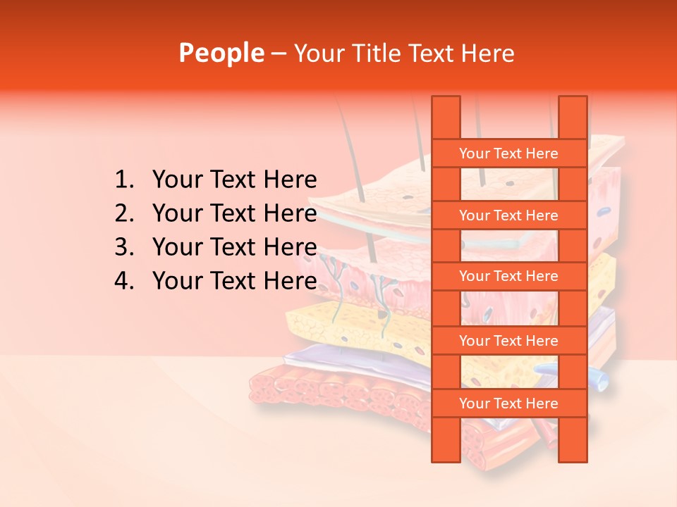 Mu Cle Haft Medical PowerPoint Template