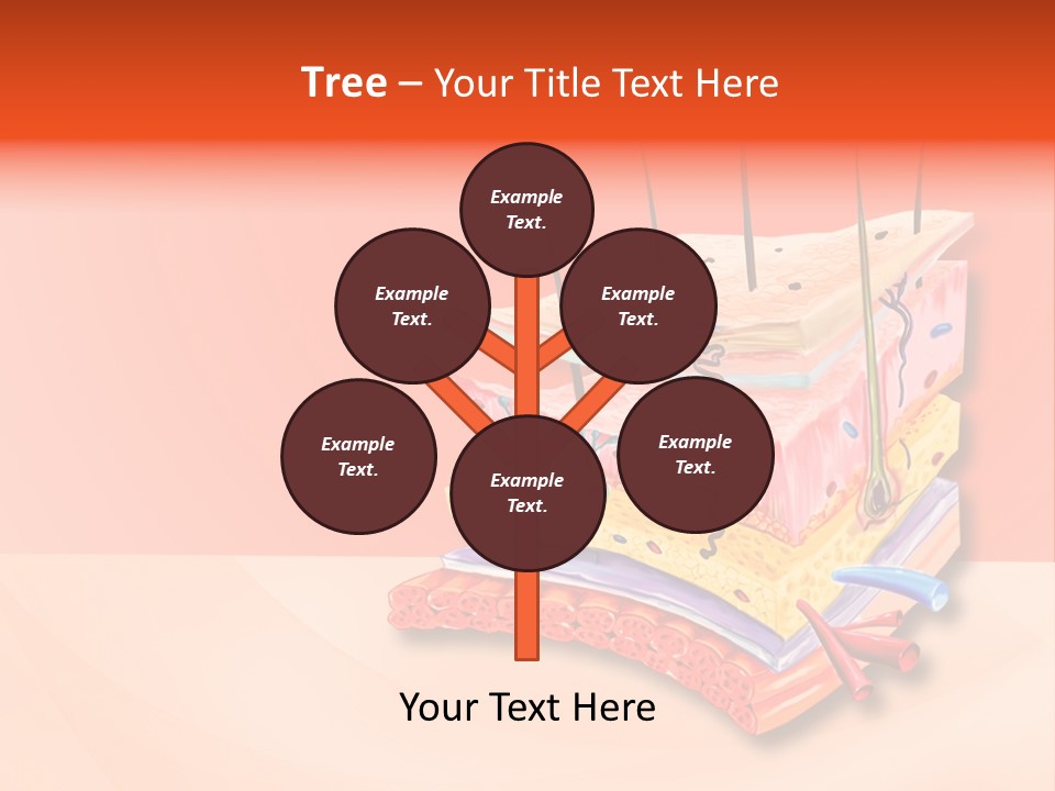 Mu Cle Haft Medical PowerPoint Template