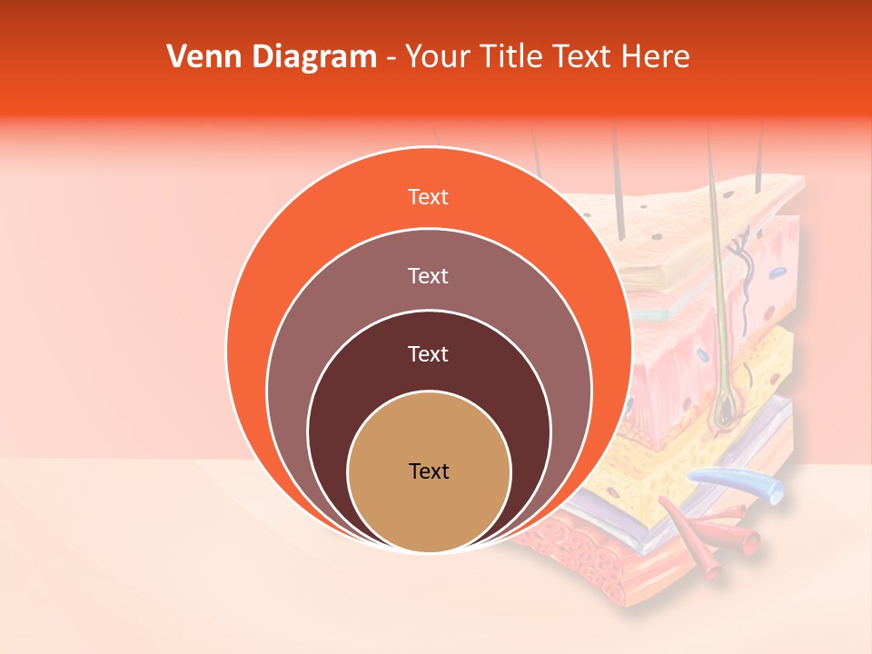 Mu Cle Haft Medical PowerPoint Template
