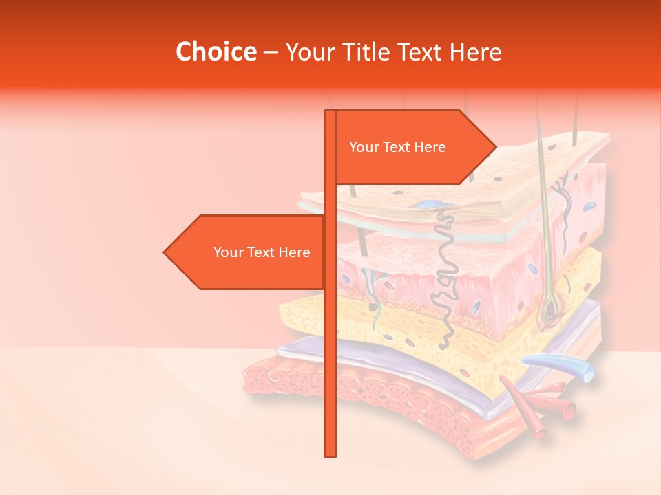 Mu Cle Haft Medical PowerPoint Template