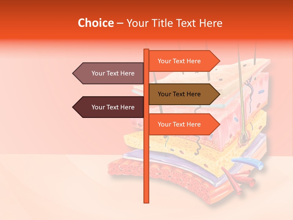Mu Cle Haft Medical PowerPoint Template